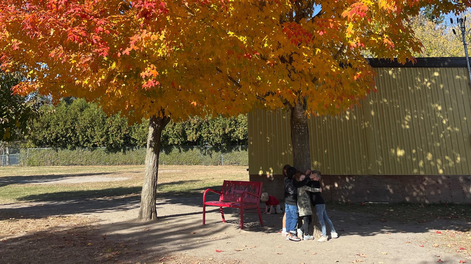St. Leonard School students hugging a tree outdoors