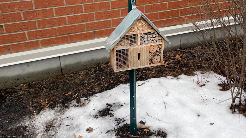 St. Leonard School environmental initiatives