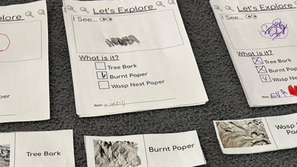 Paper sheets with school activities