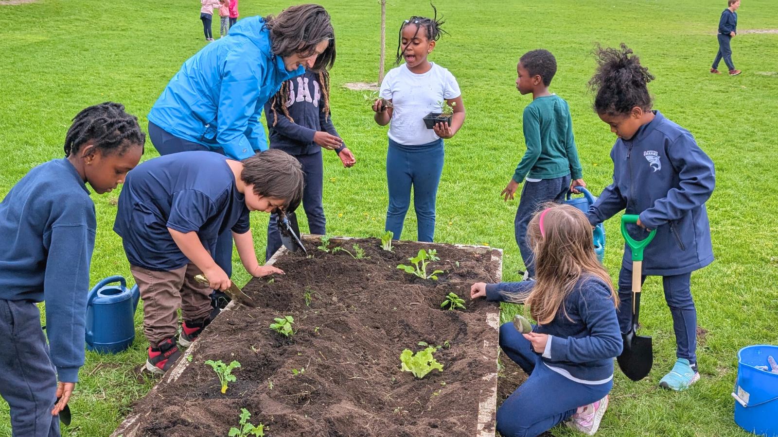 St. Augustine students planting and taking care of their planter
