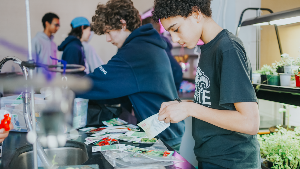 Notre Dame students working on their vertical garden lab