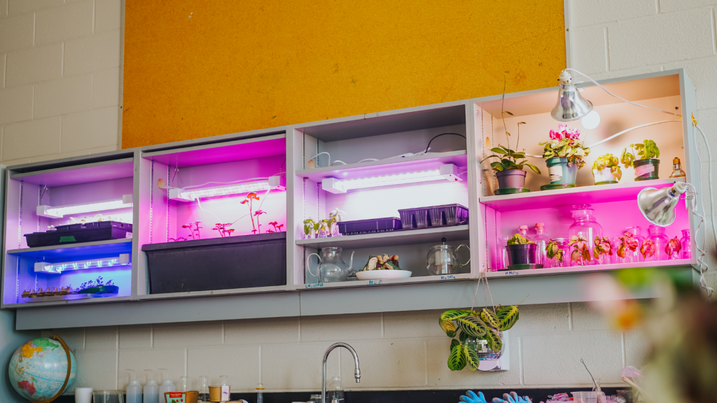 Notre Dame vertical garden