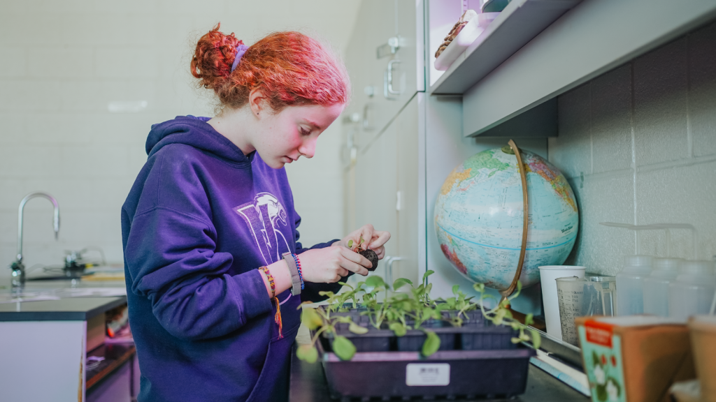 Notre Dame student planting in the school lab