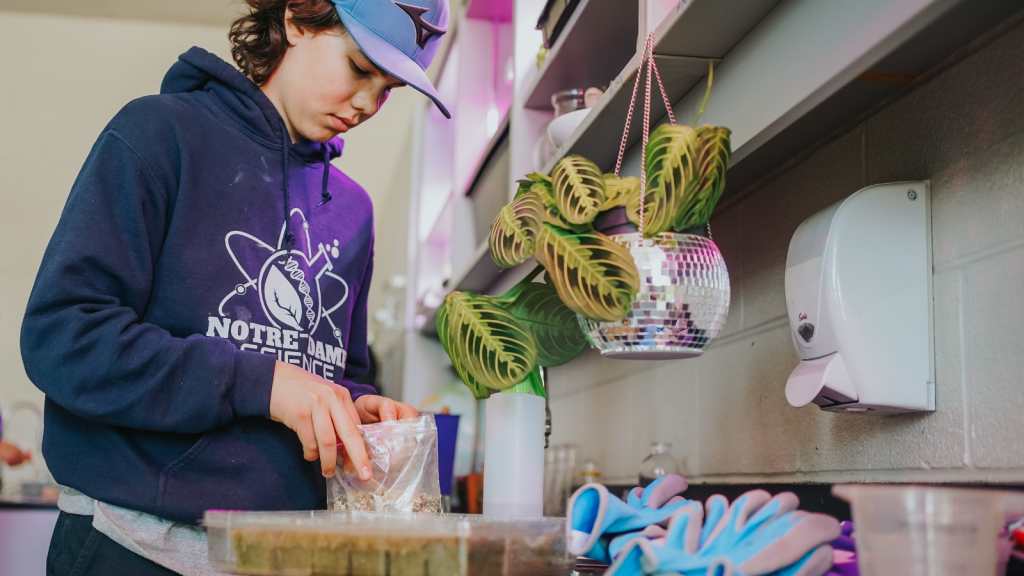 A Notre Dame student working on the vertical garden