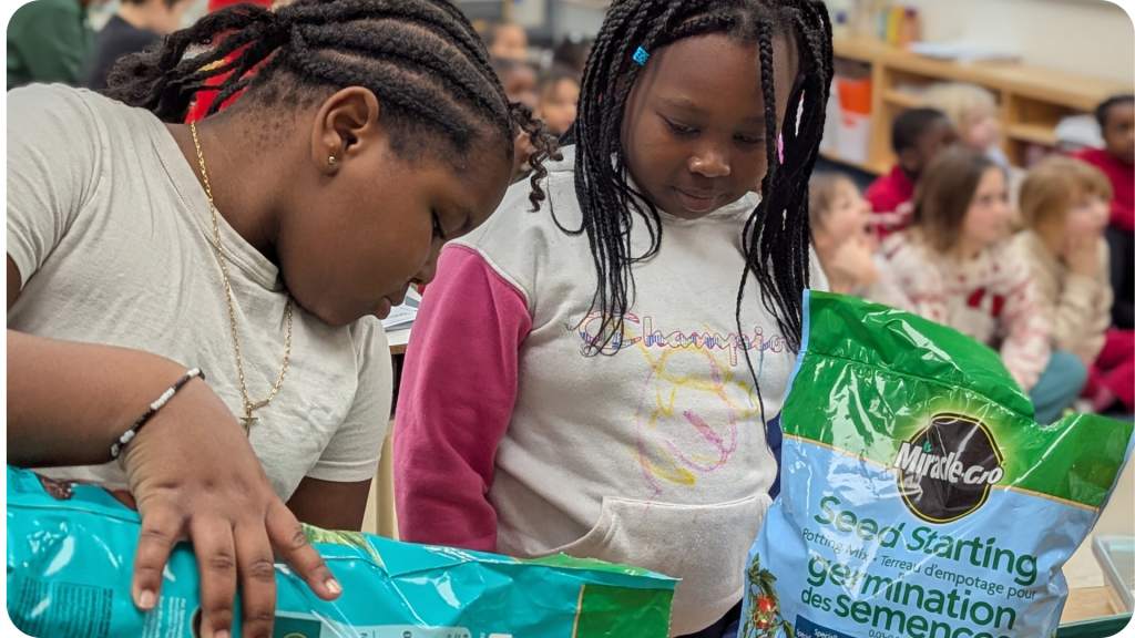 Students working with seeds in their classroom