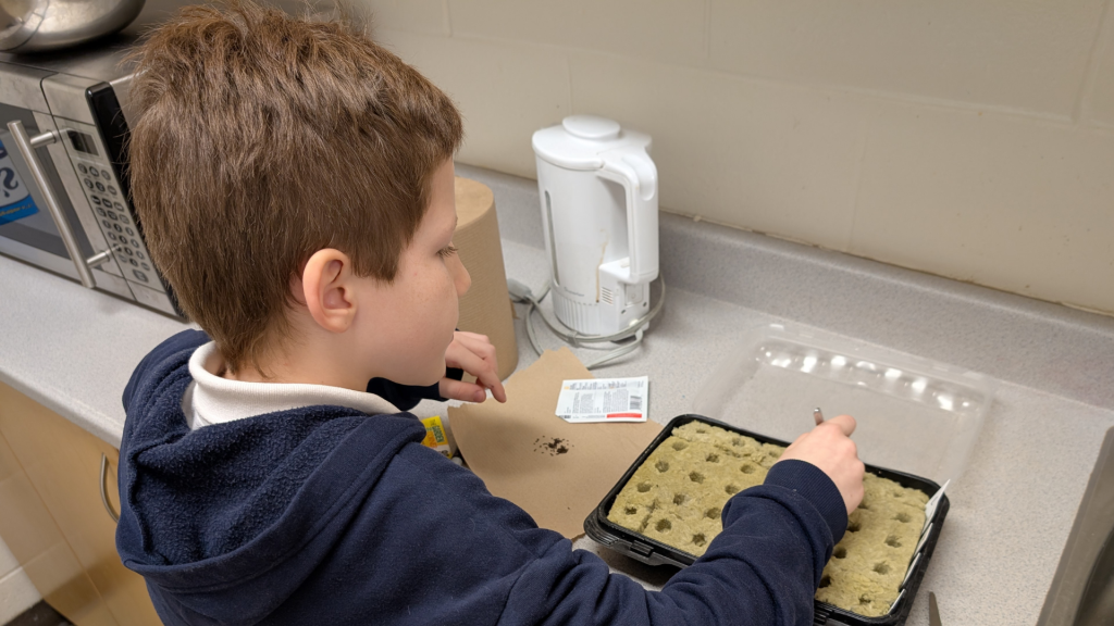 A students planting in the school lab