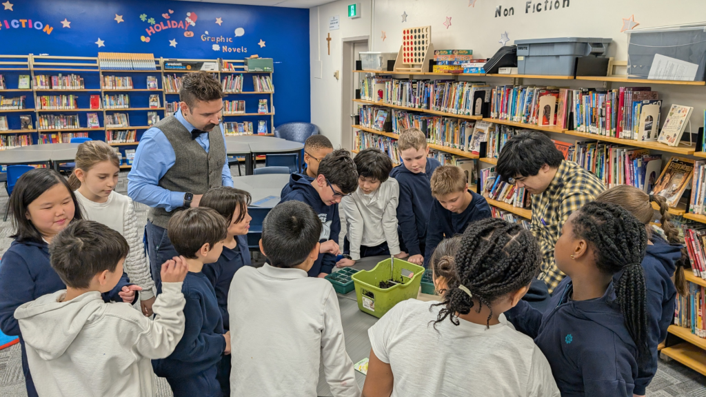 Students in their classroom learning about the seeds and plants