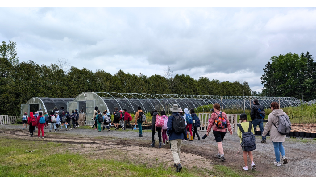 St. Augustine's students visit the Tree Nursery and learn about nature