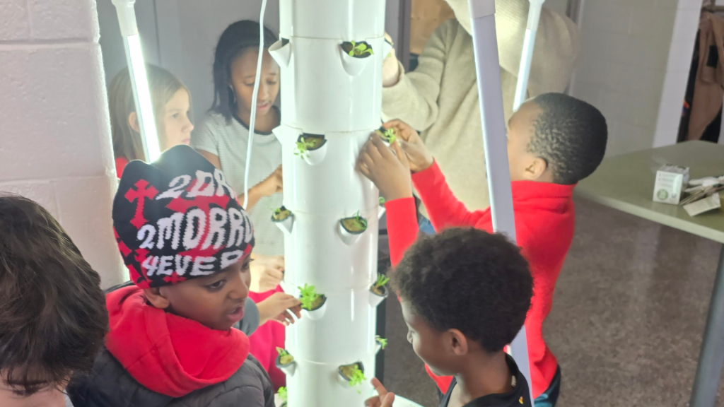 St Elizabeth students working on their vertical produce garden