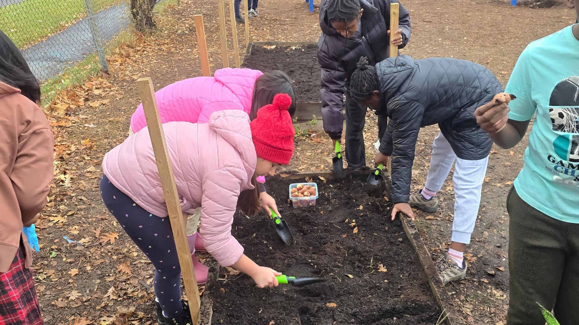 St Elizabeth students planting outdoors